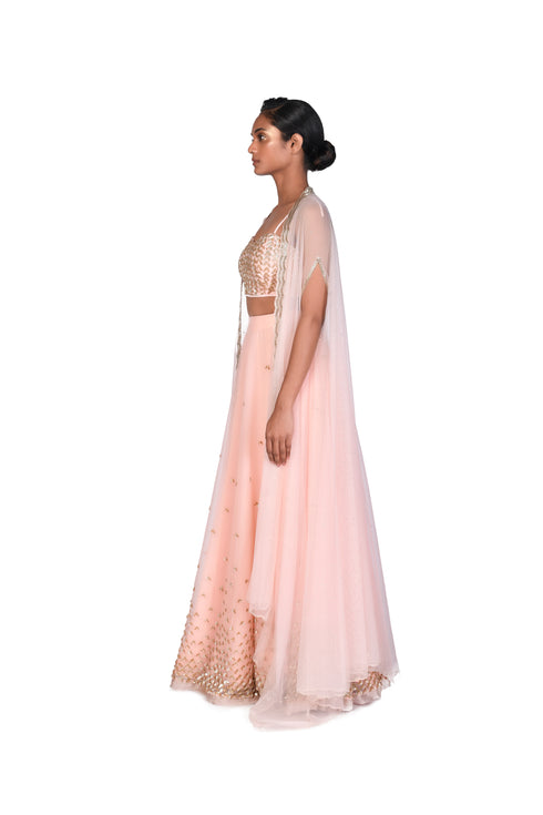 Peach and Pink Bustier and Skirt with Organza Throw